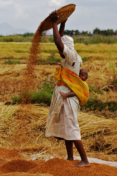 El problema de la alimentación en África