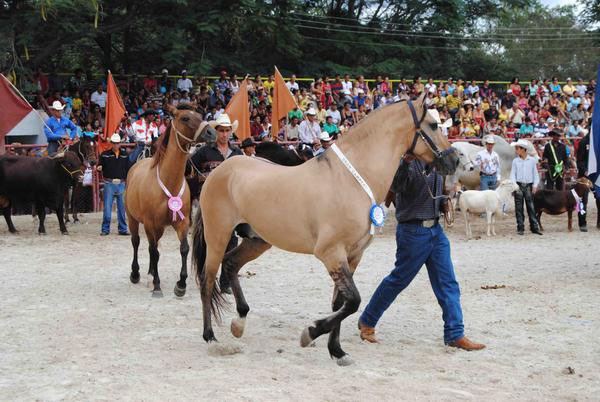 Feria Internacional Agropecuaria Granma