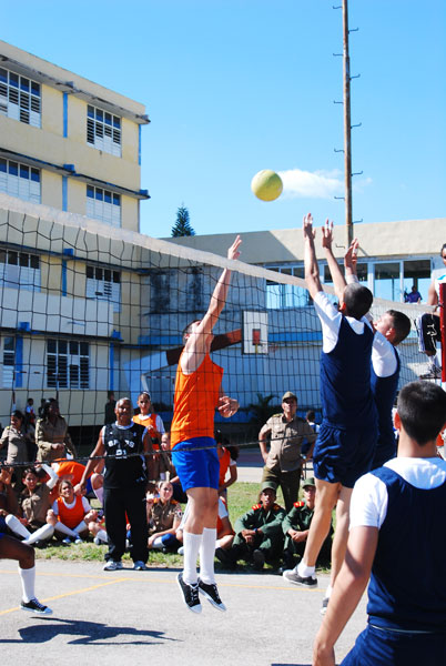 Voleibol 