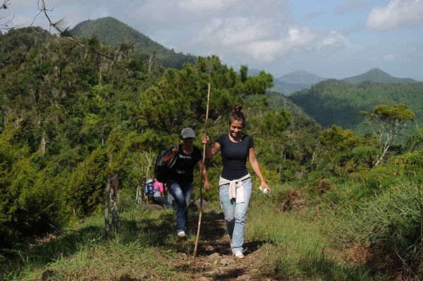 Camino a la cima