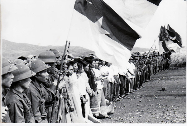 Combatientes de Vietnam