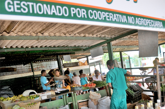 Cooperativa no agropecuaria