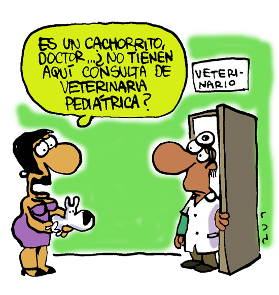 El médico de los animales