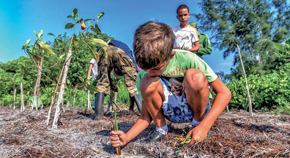 Cambio climático