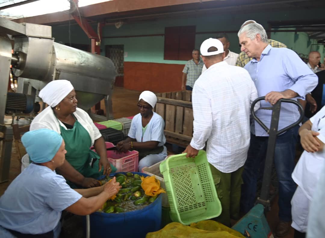 El Presidente cubano visitó la mipyme estatal La Güireña, creada en diciembre de 2022, que antes era una unidad empresarial de base del sector agropecuario.
