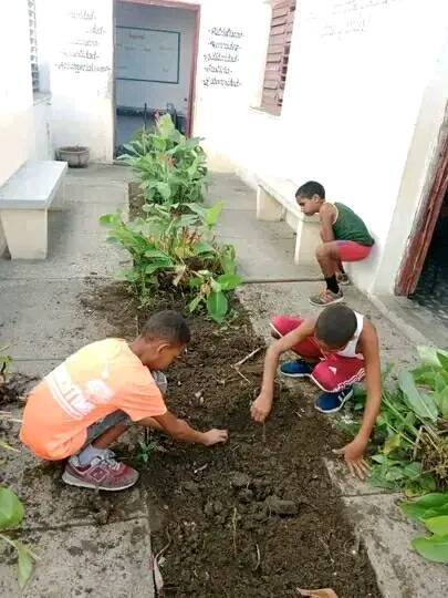 El saneamiento ambiental en escuelas y comunidades, labores en huertos y la reparación de la base material de estudio, ocuparon a las FAPI santiagueras en los primeros días de julio. 