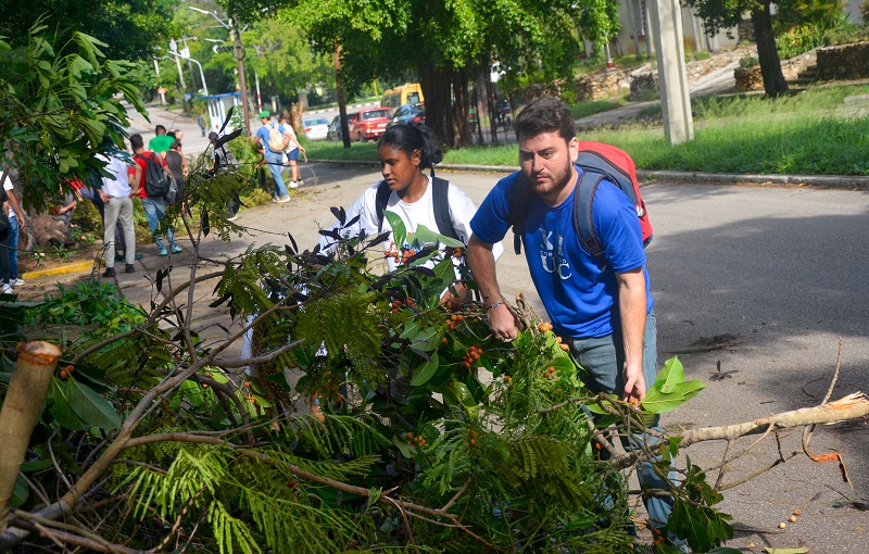 Un huracán de fuerza joven