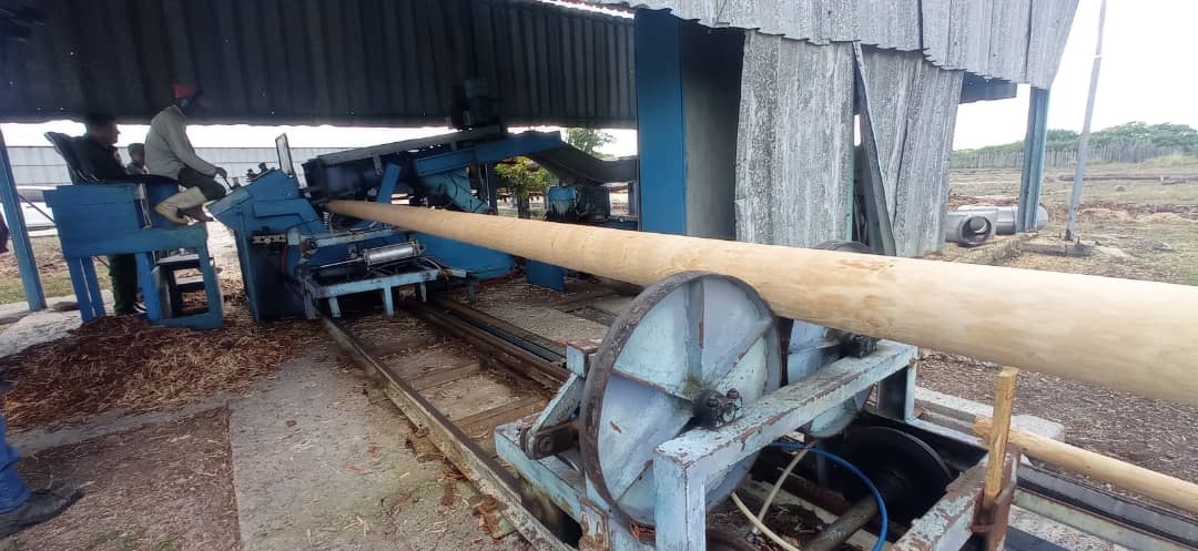 Madera de Pinar del Río