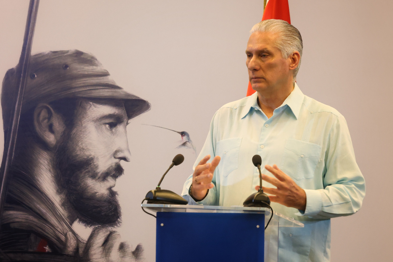 Comparecencia de Miguel Mario Díaz-Canel Bermúdez