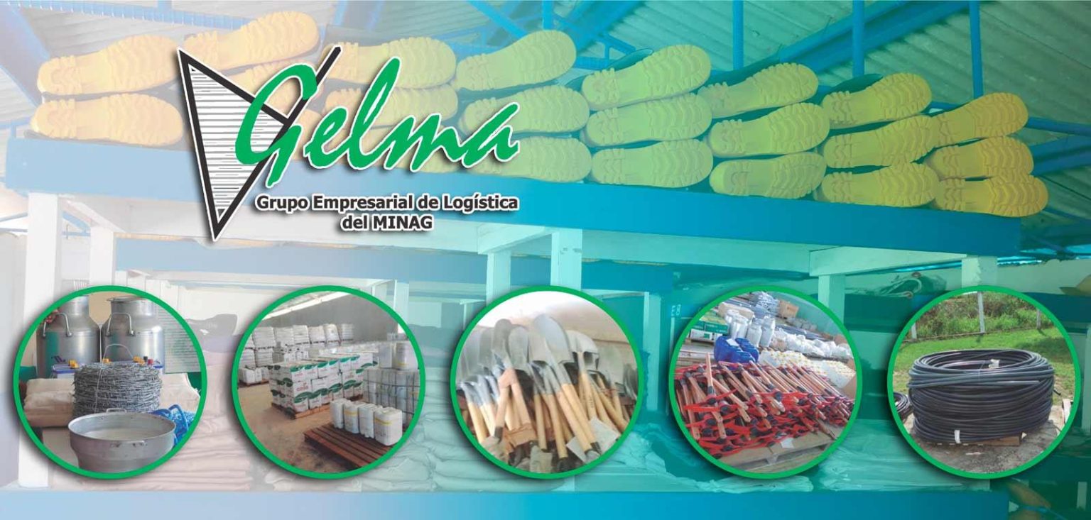Grupo Empresarial GELMA