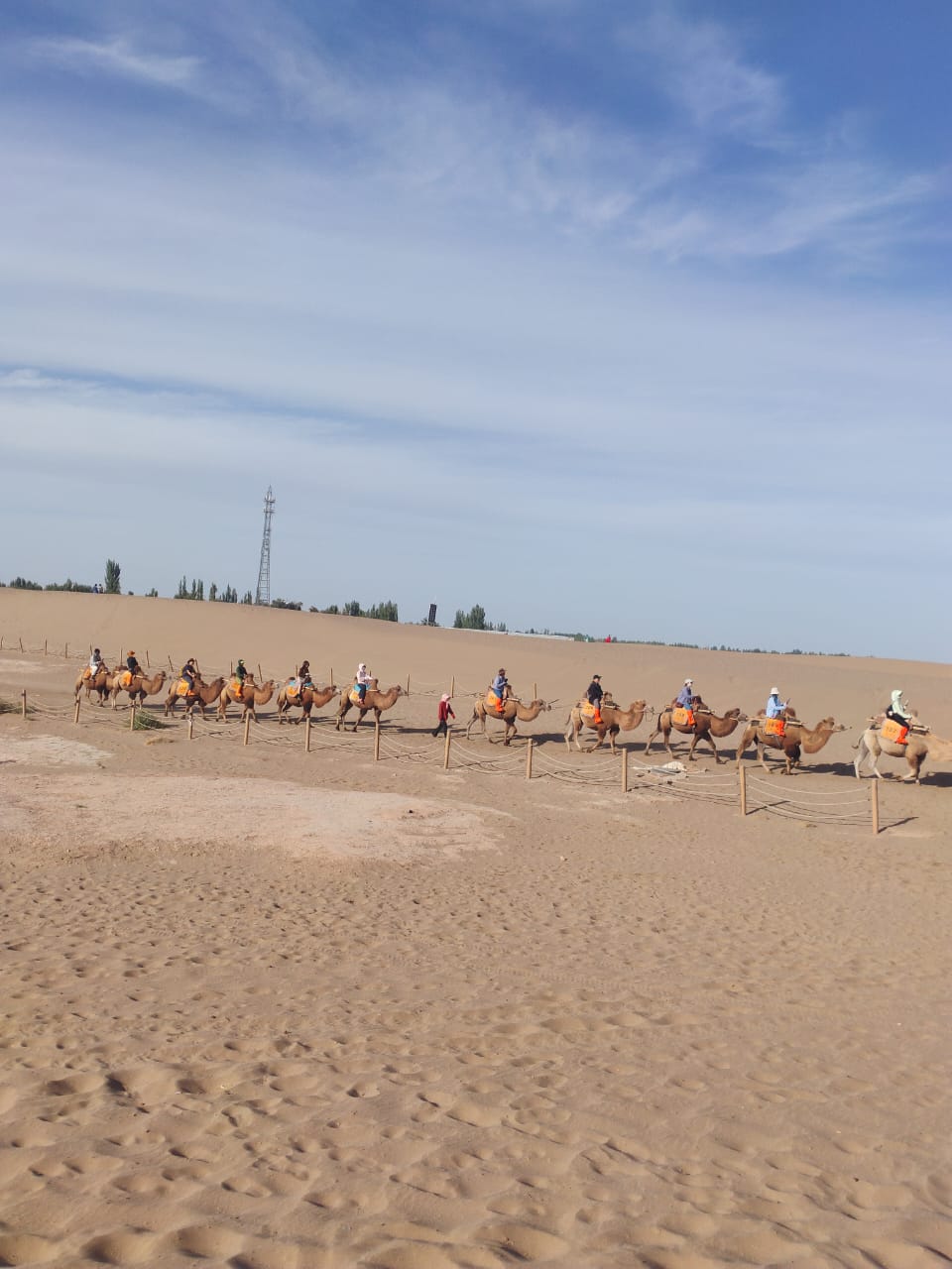 A paso lento, en perfecta sinergia, sobre el suelo árido del desierto de Gobi pasan uno tras otro los camellos