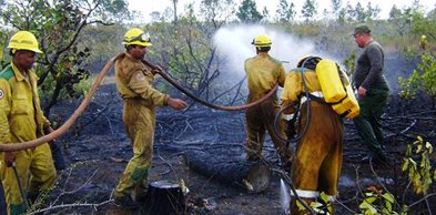 Incendio impacta 200 hectáreas de bosques en Pinar del Río