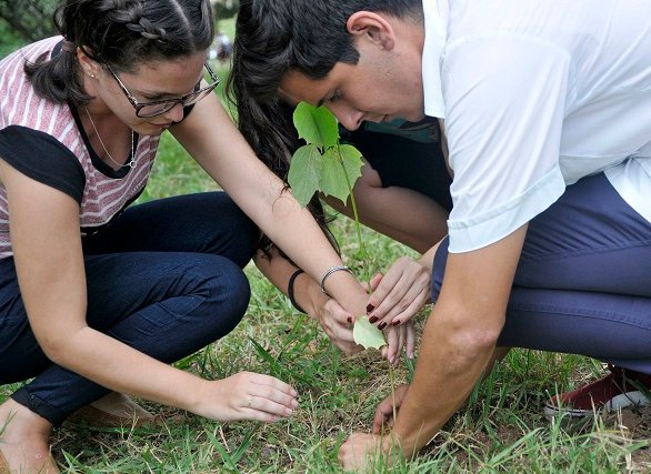 Jóvenes cubanos en siembra de árboles