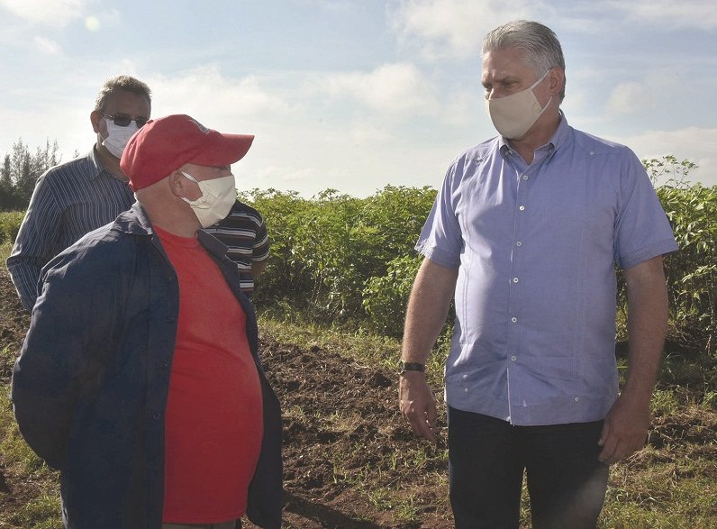 Díaz-Canel visitó la Empresa Agropecuaria Valle del Yabú