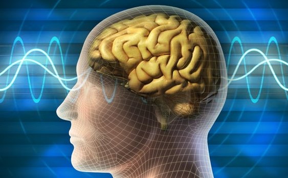 Neuralink realizaría pruebas de implantes cerebrales