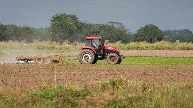 Agricultura cubana