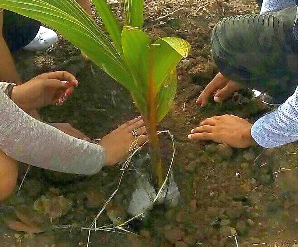 Día del Medio Ambiente