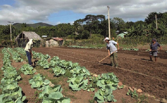 Usufructuarios de tierra