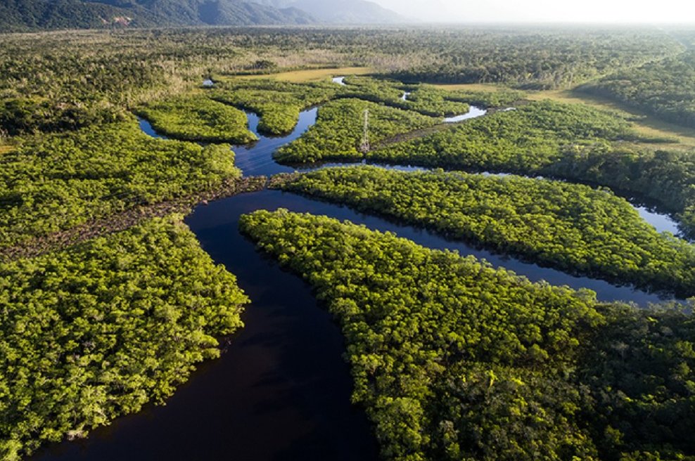 Amazonía