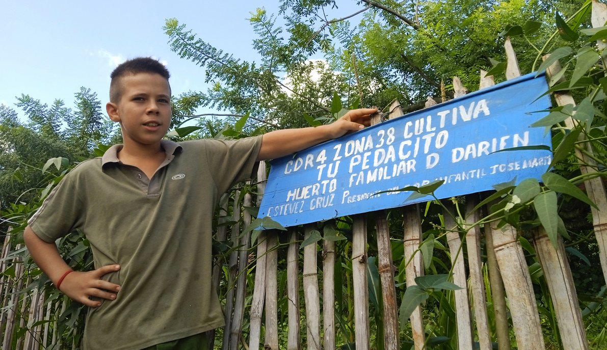 Darién vio una cerca media rota en un costado de su casa, y allí creó el huerto de la familia.