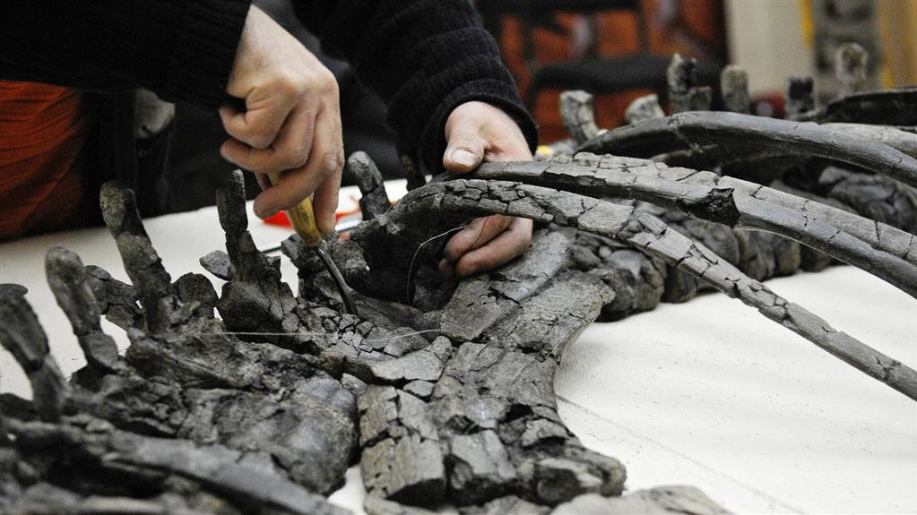 Esqueleto de dinosaurio hallado en Siberia