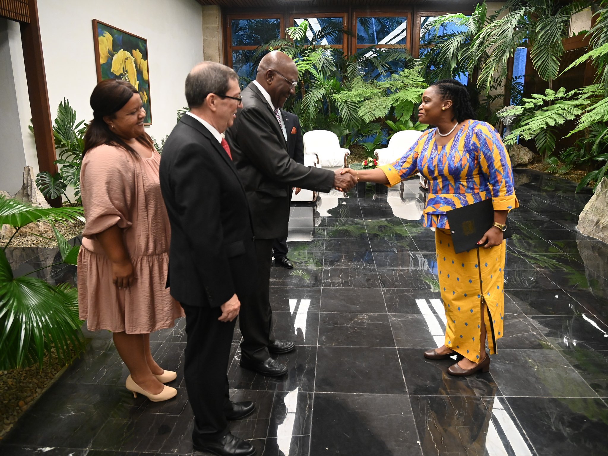 Vicepresidente de Cuba recibe Cartas Credenciales de nuevos embajadores