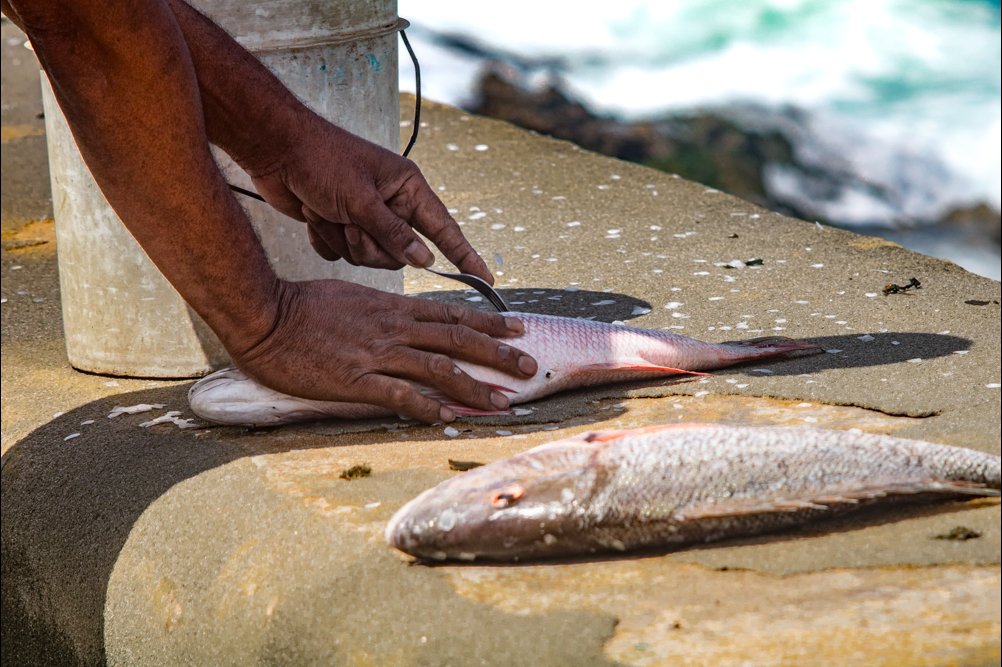 Pescadores