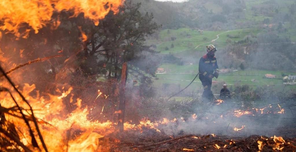 Guardabosques cubanos emprenden acciones para prevenir incendios forestales