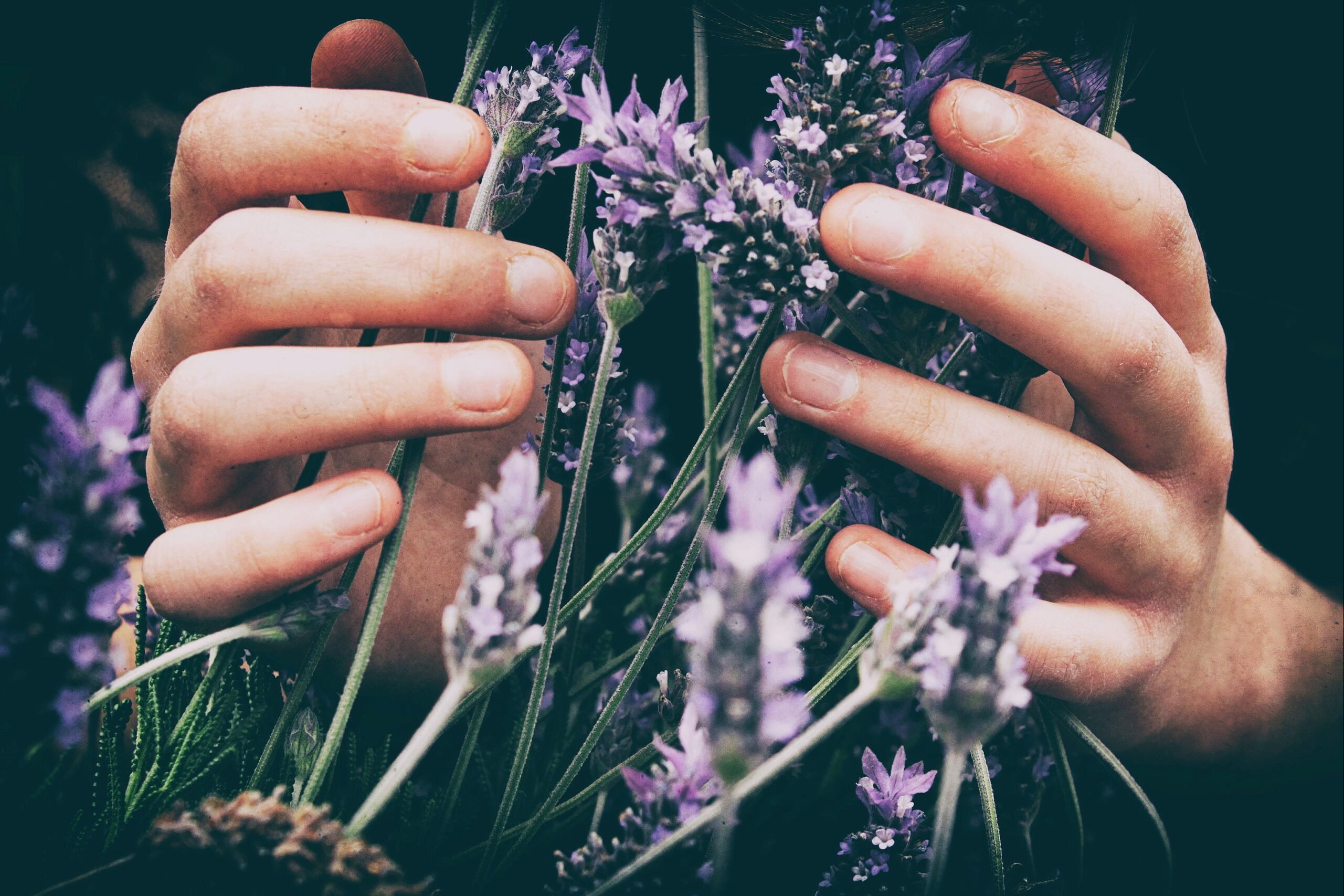 Ayurveda