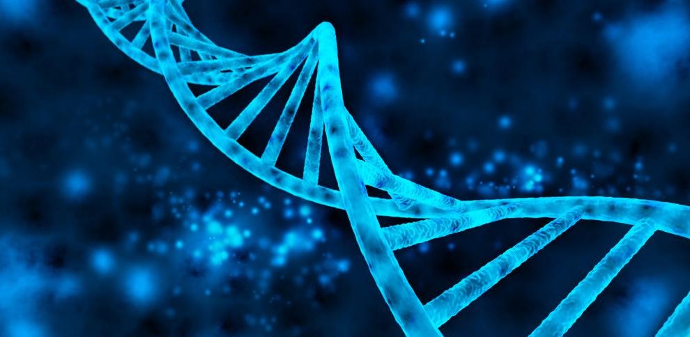 Científicos británicos avanzan en creación de ADN humano artificial desde cero