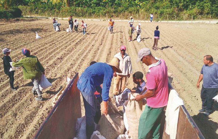 Impulsar la producción de alimentos es prioridad para los guantanameros