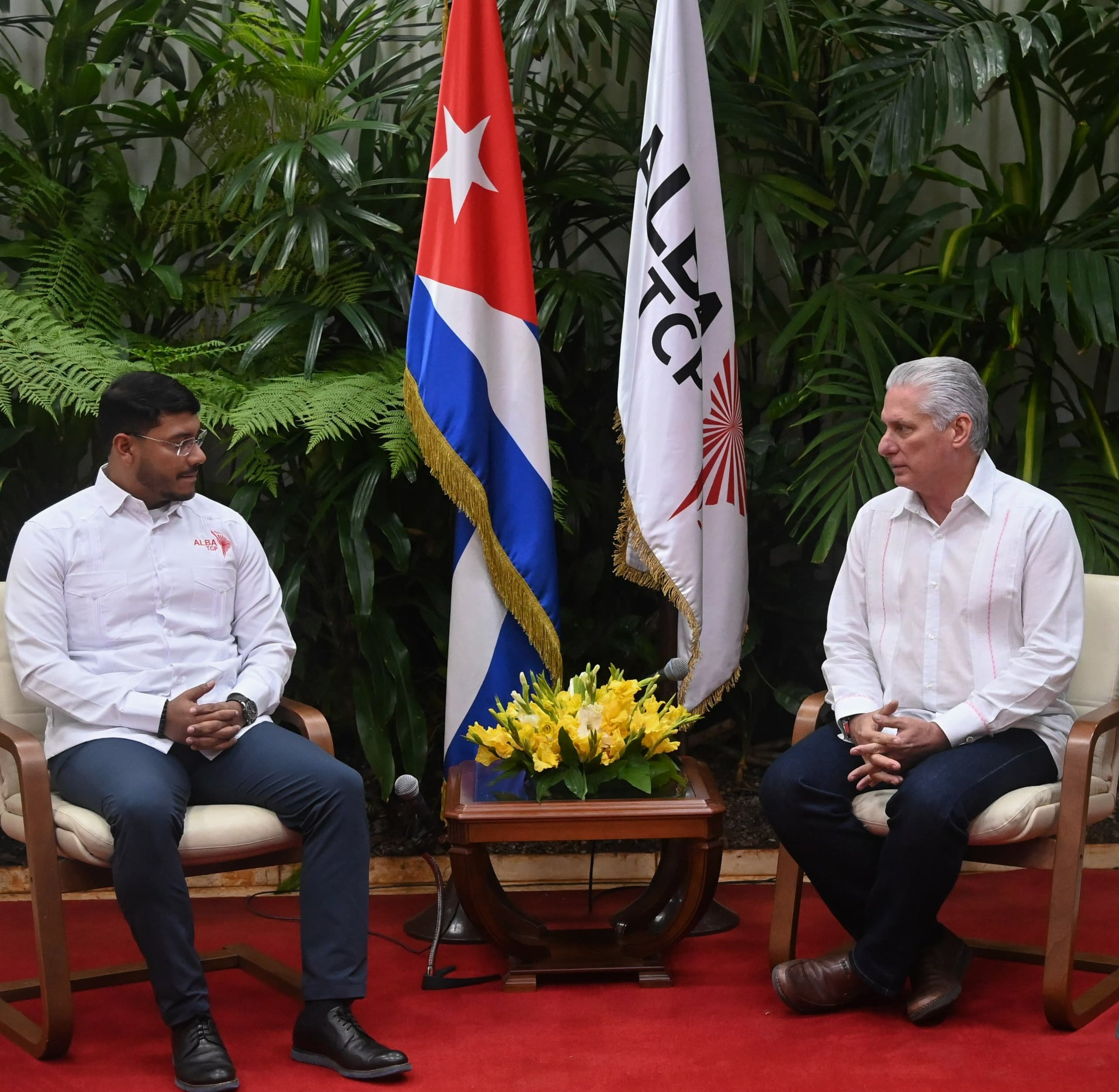 Miguel Díaz-Canel Bermúdez sostuvo un amistoso encuentro con el secretario ejecutivo de la Alianza Bolivariana para los Pueblos de Nuestra América-Tratado de Comercio de los Pueblos (ALBA-TCP).