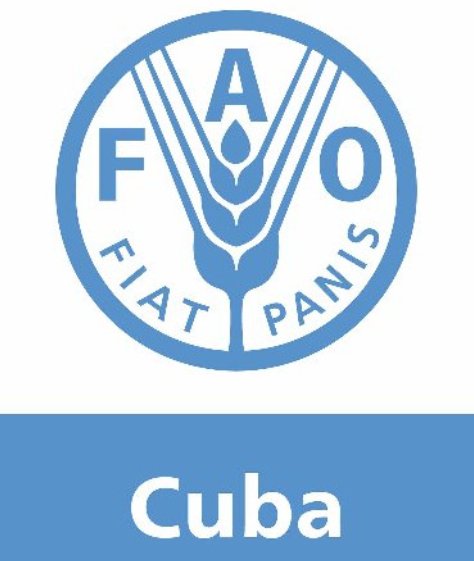 Promueven acciones con vistas al fortalecimiento del Sistema Nacional de Monitoreo Forestal