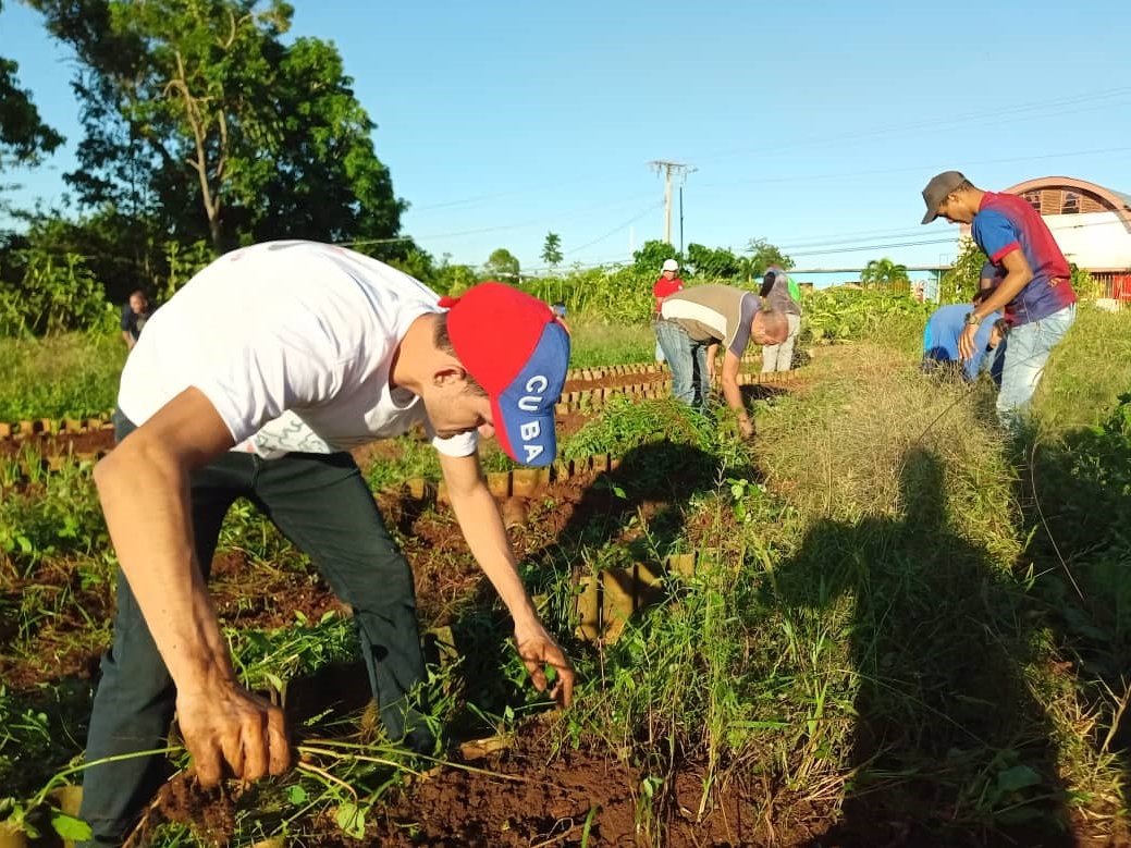 Barrio Productivo tiene como propósito impulsar producciones y servicios desde el ámbito comunitario para contribuir a satisfacer necesidades locales, especialmente relacionadas con la alimentación.