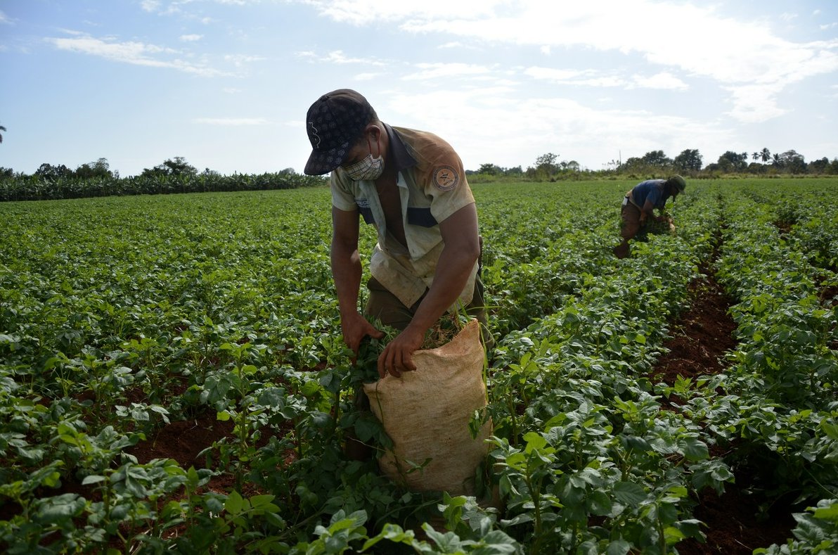 El proyecto de Ley De Tierra Agropecuaria y Forestal recoge, entre otros elementos, la actualización del régimen de propiedad, posesión, sucesión por causa de muerte y uso de la tierra y bienes agropecuarios.