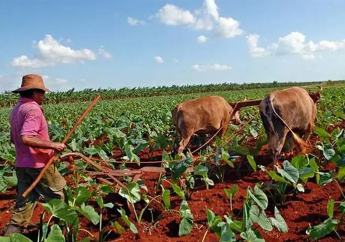 El Proyecto de Ley ofrecerá un marco normativo único y claro para fiscalizar desde la entrega de la tierra, hasta las obligaciones de todos los usufructuarios