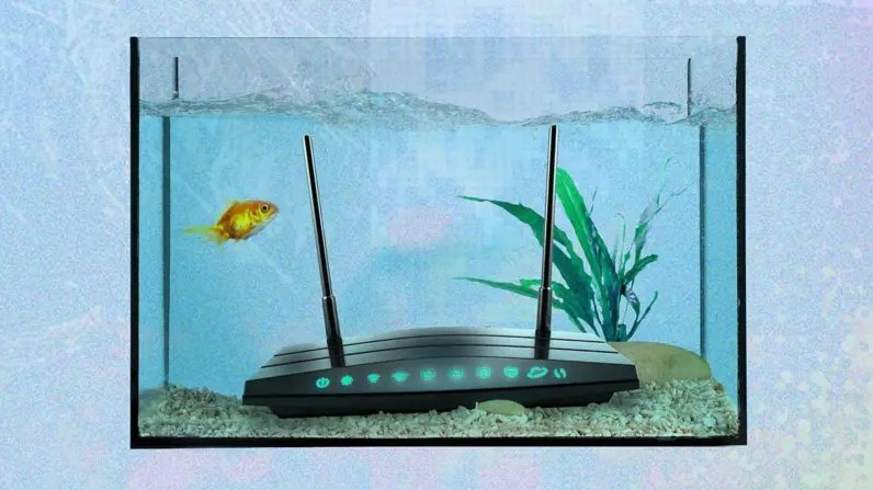 Cosas extrañas que interfieren con la WI-Fi y no lo sabías