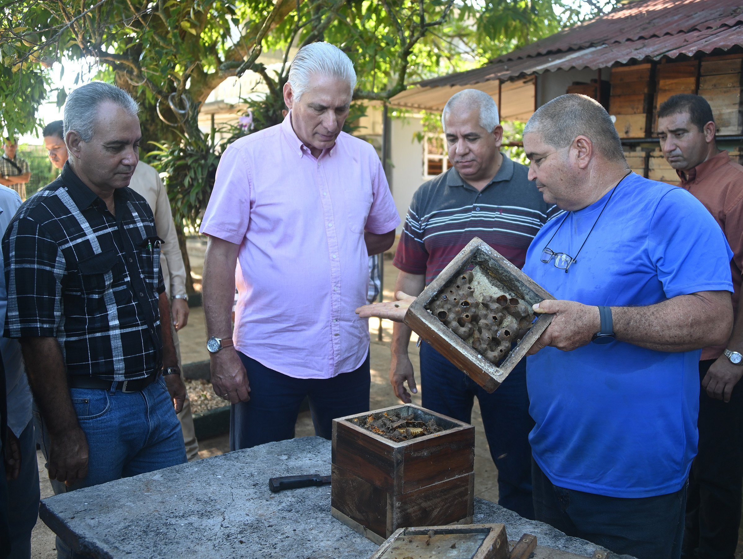 Díaz-Canel en visita de trabajo a Mayabeque