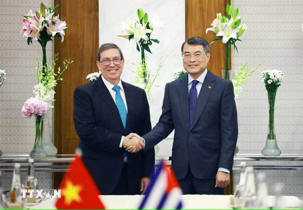 Cuba fortalece alianzas con países del Sur Global durante cumbre de los Brics