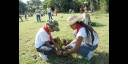 Jornada nacional de trabajo voluntario