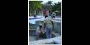 Reparación de piscina en hotel Sol Cayo Coco