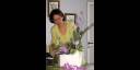 Orquídeas cubanas