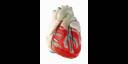 Anatomía del corazón