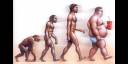Evolución de la obesidad