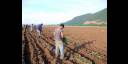 La columna juvenil ha brindado un considerable aporte a la recuperación de la producción de alimentos