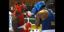 Torneo de boxeo Memorial Istvan Bocskai