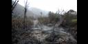 Incendios forestales
