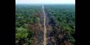 La deforestación amazónica demanda acciones de carácter multilateral en pos de salvaguardar el Pulmón del Planeta. 