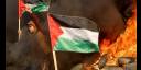 Enfrentamientos de palestinos
