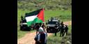 Palestina